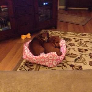 Meet your Posher, Miranda